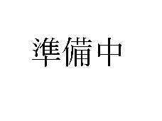 展示の模様02